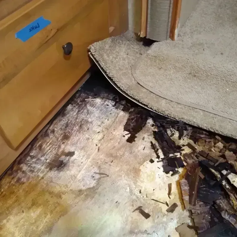 Best Wood Floor Water Damage Service in Farmingdale, NY